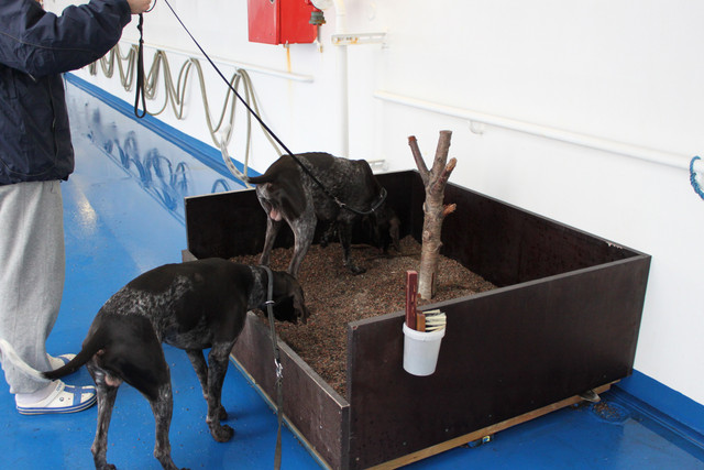 thn_ne_sano_jot_mein_tulis_paskoo