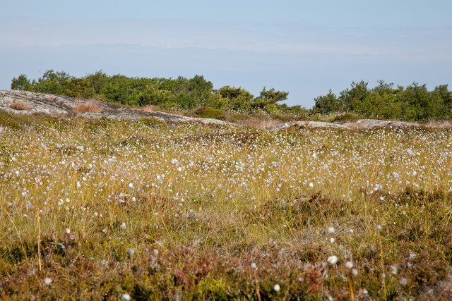 maisemat (39 of 50)