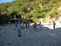 15_pieni_lehvahdystauko_img_0273