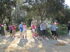 2_haavalmisteluja_palsin_kylaan_mennessa_img_0280