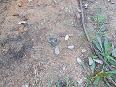 3_kyy_paivalevolla_img_0283