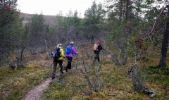 42__kiipeaminen_jatkuu_-_sam_2019