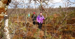 50__luontopolku_kulkee_vaivaiskoivumetsikon_lapi_-_sam_2070