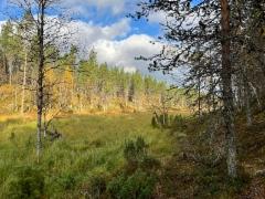 14__kurua_majoilta_saariselalle