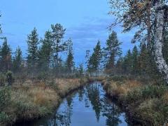 21__piispanoja_kutsuu_aamu-uinnille