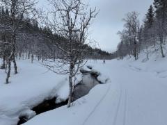 11__-_hirvaskuruun_on_jo_kevat_tulossa_-_img-20260328-wa0013