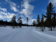 12__latuja_hoidettiin_paivittain_-_img-20260328-wa0010