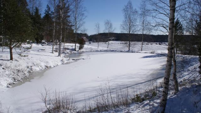 dsc01441