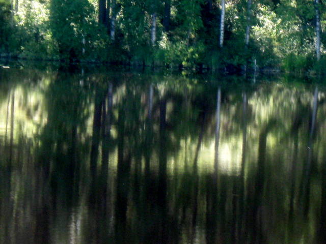 Dawn on pond