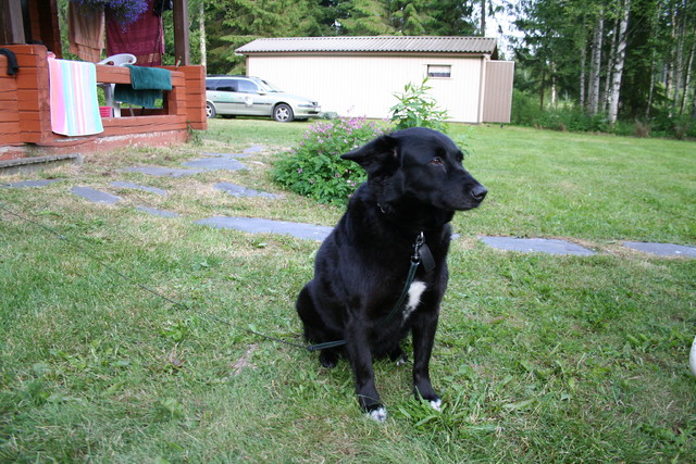 hartola_2007_osa2 054