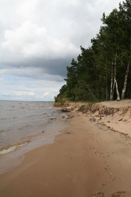 seka_viro 012