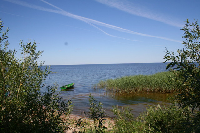 seka_viro 092