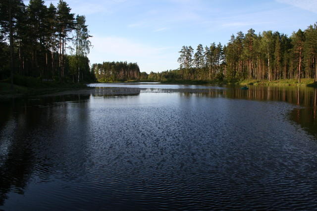 seka_viro 162