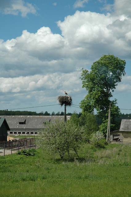 ita_viro_metsastys 011