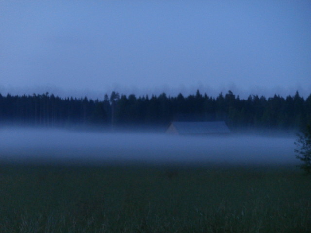 mokkikesa_2013_079