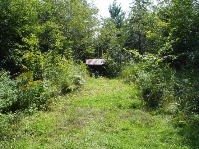 dsc015601