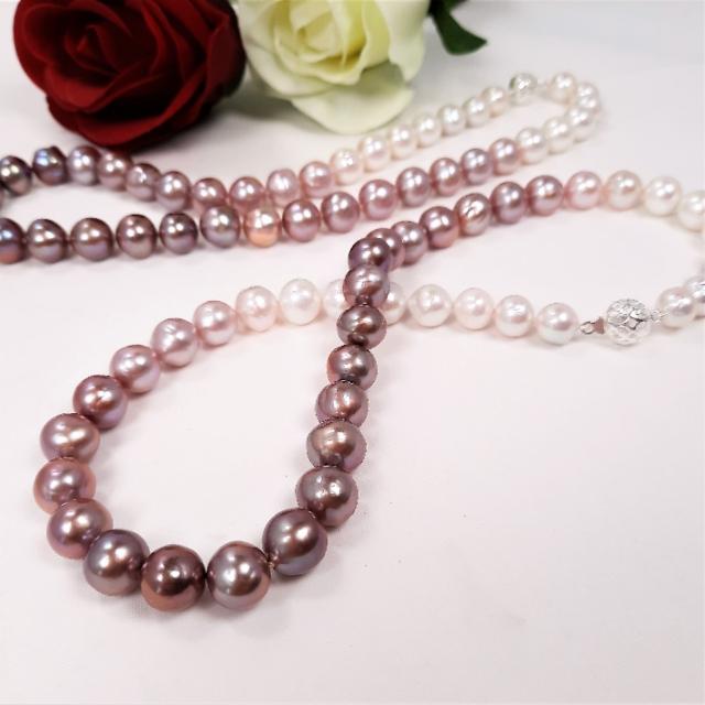 Helminauha Shades of Lavender