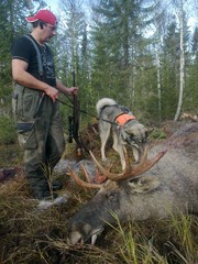 Kimmo ja Teko 2011