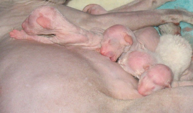 just few hours old3