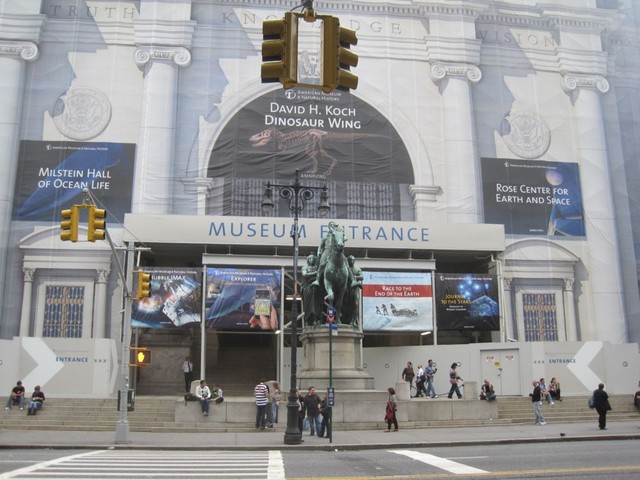 new york,  american museum of natural history, manhattan