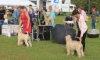 f9