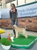 tarja_ja_figo_rop