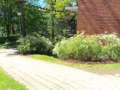 20150605_100818774_ios