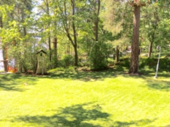 20150605_100856611_ios