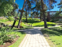 20150605_100923142_ios