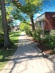 20150605_100932722_ios