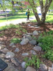 20150605_101159944_ios