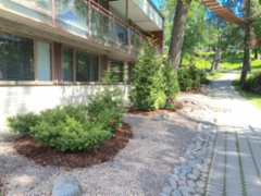 20150605_103947398_ios