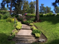 20150605_104046943_ios