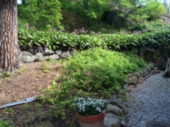 20150605_104220209_ios