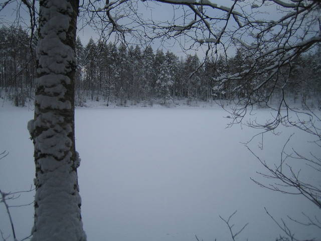 hevonlinnanjarvi 2008