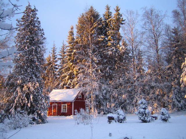 sauna 2008
