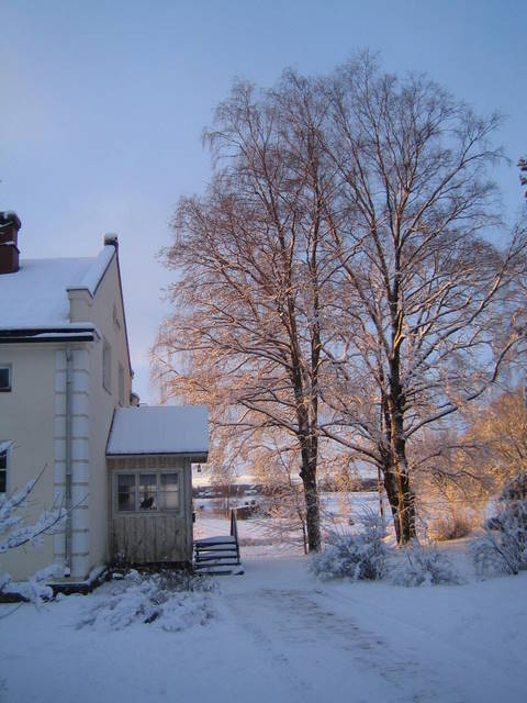 tammikuu 2008