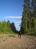hiili tulossa kotiin