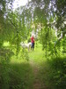 pihaan 2007