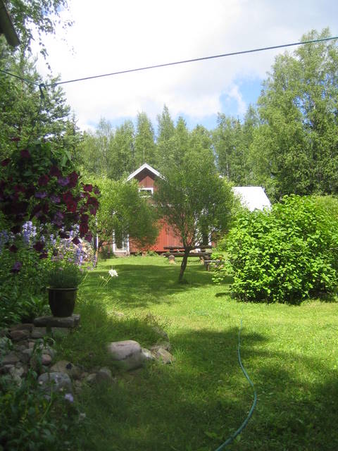 puuvaja