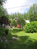 puuvaja