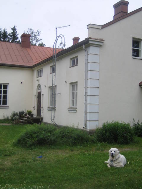 vahti koydessa