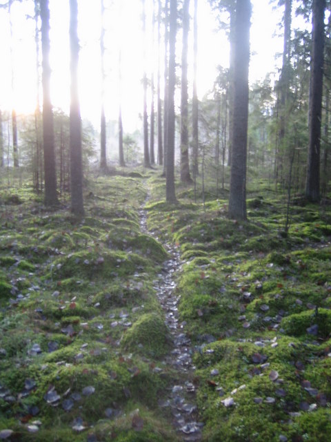 polku