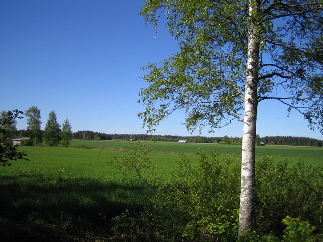 takapiha
