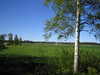 takapiha