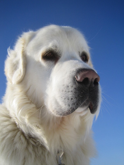 taivas_2008