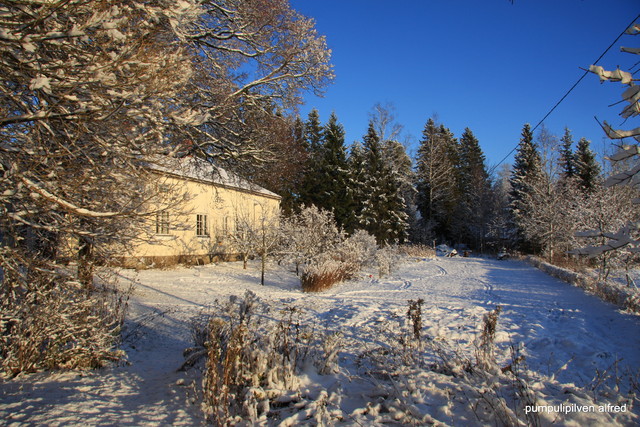 takapiha 2009