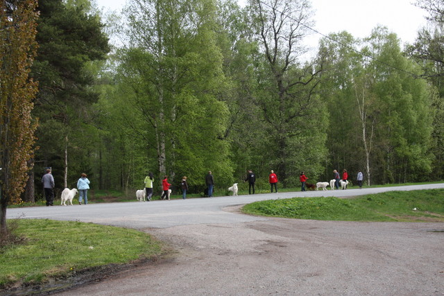 kevatpaivat