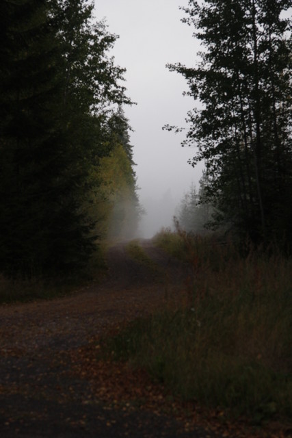 minin aamulenkki