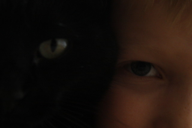 katse